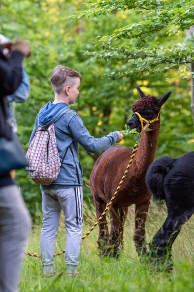 Nový balíček s ubytováním Alpaka 